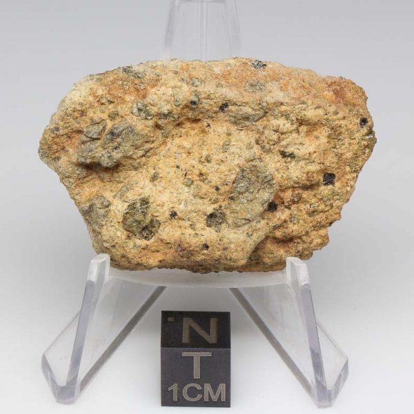NWA 12927 Meteorite 29.4g End Cut