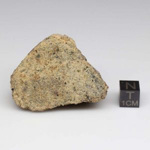 NWA 12927 Meteorite 83.7g End Cut