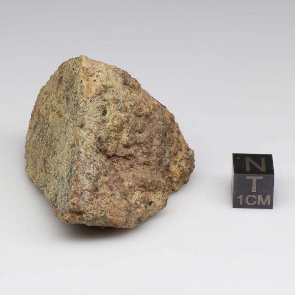 NWA 12927 Meteorite 83.7g End Cut