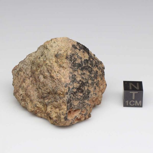 NWA 12927 Meteorite 83.7g End Cut