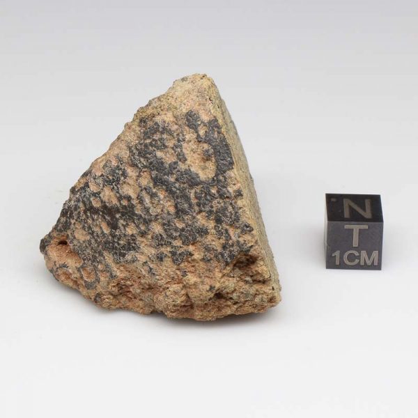 NWA 12927 Meteorite 83.7g End Cut
