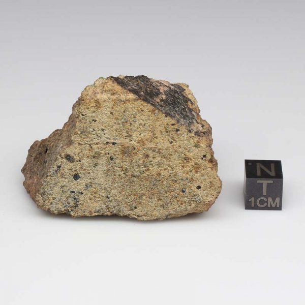 NWA 12927 Meteorite 101.4g End Cut