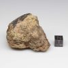 NWA 12927 Meteorite 101.4g End Cut