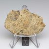 NWA 12927 Meteorite 16.9g