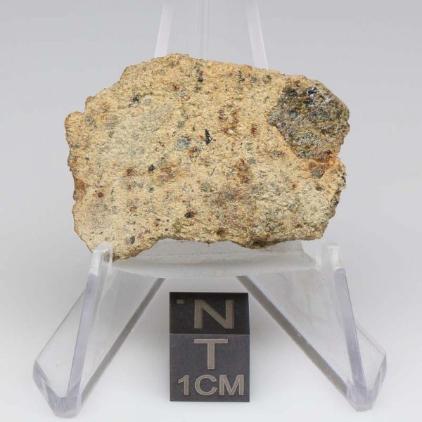NWA 12927 Meteorite 14.3g End Cut