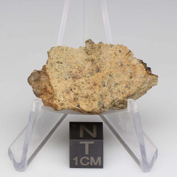 NWA 12927 Meteorite 11.4g End Cut