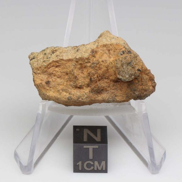 NWA 12927 Meteorite 17.6g End Cut