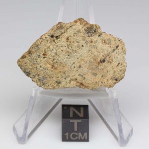 NWA 12927 Meteorite 15.1g End Cut