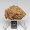 NWA 12927 Meteorite 15.1g End Cut