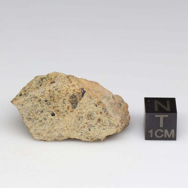 NWA 12927 Meteorite 21.3g End Cut
