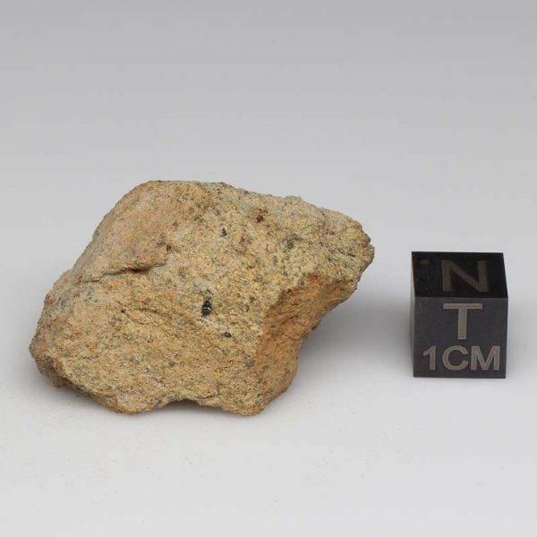 NWA 12927 Meteorite 21.3g End Cut