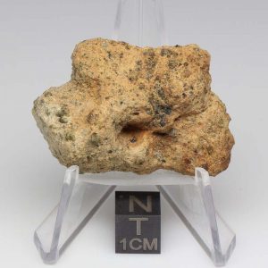 NWA 12927 Meteorite 22.6g End Cut