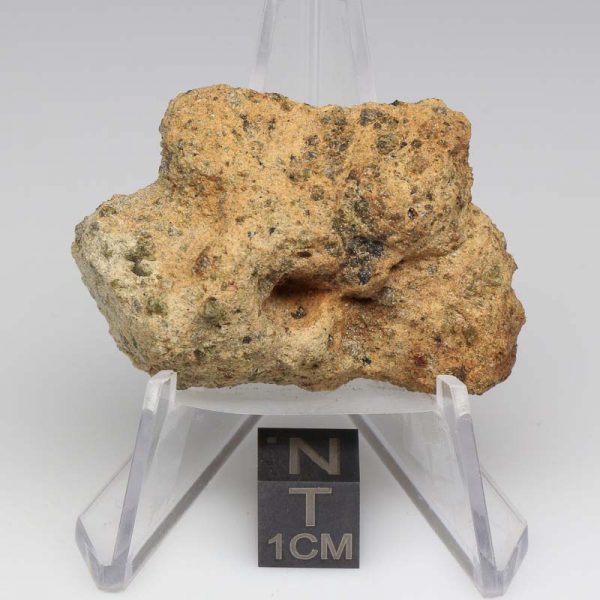 NWA 12927 Meteorite 22.6g End Cut