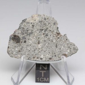 NWA 12932 Meteorite 10.6g