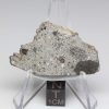 NWA 12932 Meteorite 7.8g