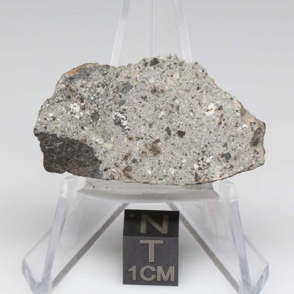NWA 12932 Meteorite 13.3g End Cut