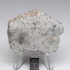 NWA 12932 Meteorite 54.6g End Cut