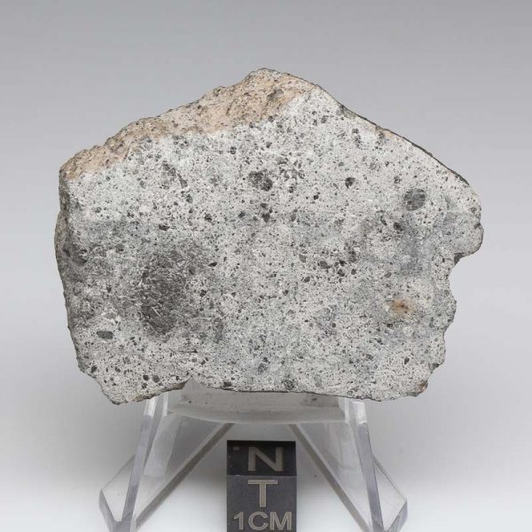NWA 12932 Meteorite 54.6g End Cut