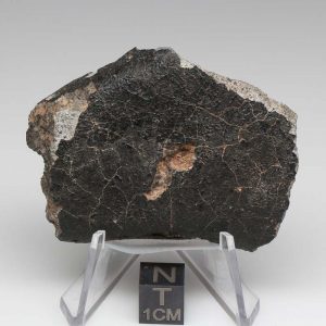 NWA 12932 Meteorite 54.6g End Cut