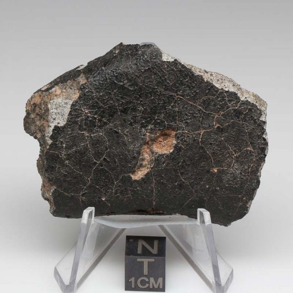 NWA 12932 Meteorite 54.6g End Cut