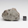 NWA 12932 Meteorite 60.0g End Cut