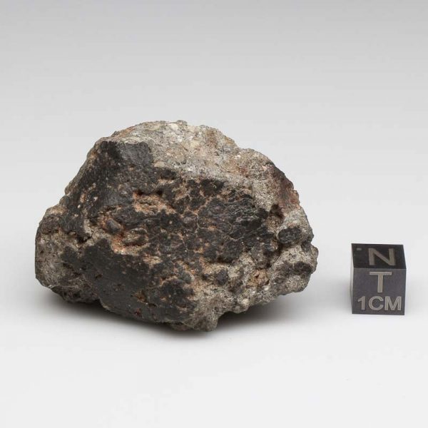 NWA 12932 Meteorite 60.0g End Cut