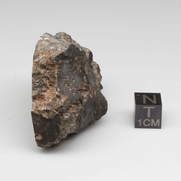 NWA 12932 Meteorite 60.0g End Cut