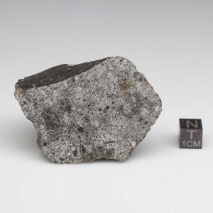 NWA 12932 Meteorite 87.6g End Cut