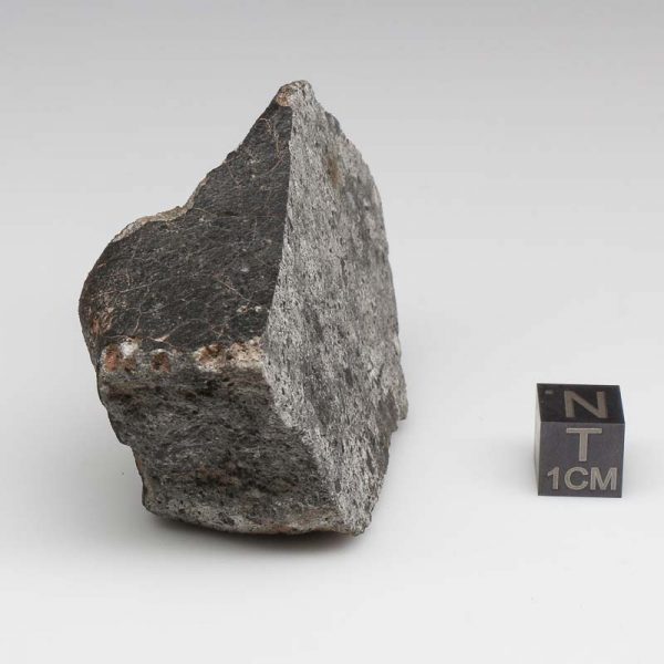 NWA 12932 Meteorite 87.6g End Cut