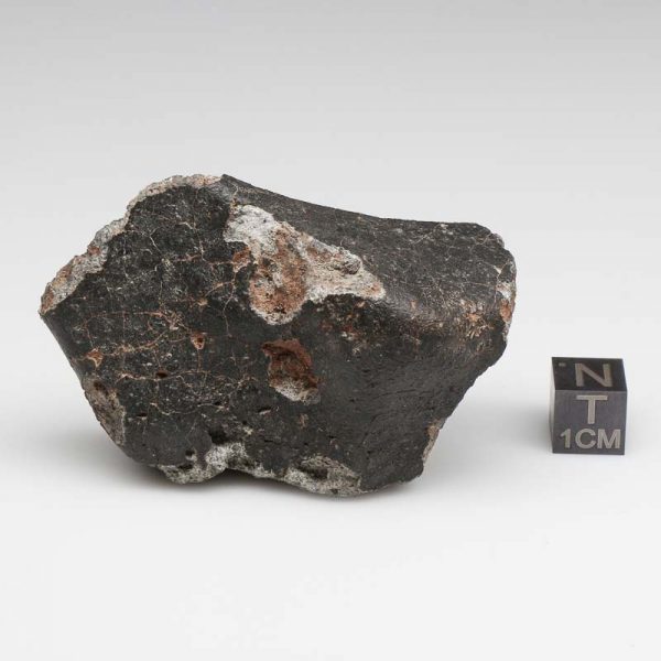 NWA 12932 Meteorite 87.6g End Cut