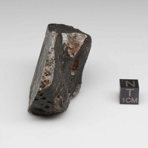 NWA 12932 Meteorite 87.6g End Cut