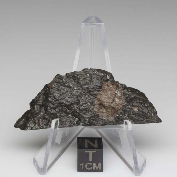 NWA 13951 Lunar Meteorite 13.21g Part End Cut