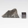 NWA 14041 Lunar Meteorite 8.51g
