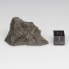 NWA 14041 Lunar Meteorite 8.51g