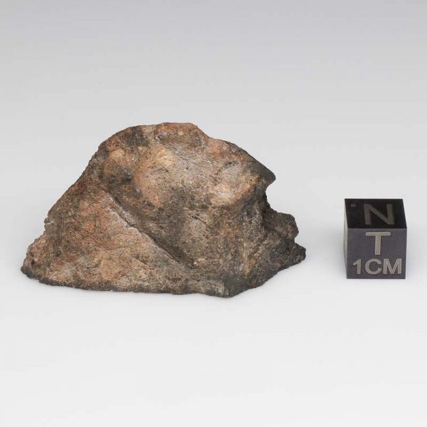 NWA 14041 Lunar Meteorite 15.59g