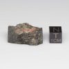 NWA 14041 Lunar Meteorite 5.72g