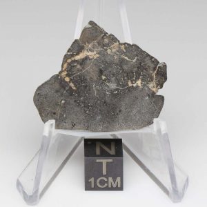 NWA 14729 Lunar Meteorite 3.44g