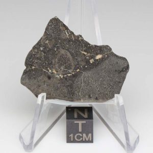 NWA 14729 Lunar Meteorite 5.32g