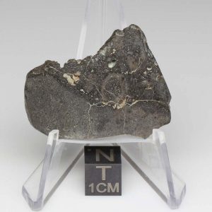 NWA 14729 Lunar Meteorite 5.57g