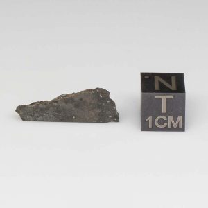NWA 14729 Lunar Meteorite 1.21g
