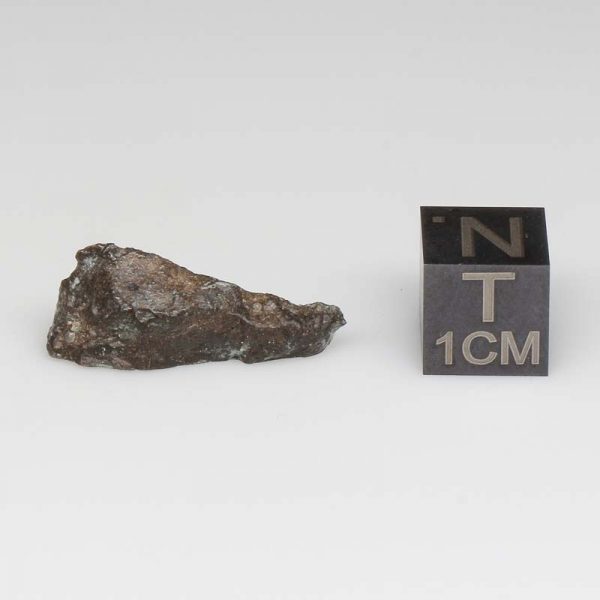 NWA 14729 Lunar Meteorite 1.21g