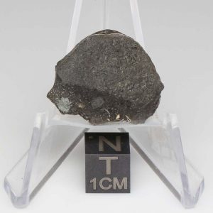 NWA 14729 Lunar Meteorite 2.48g