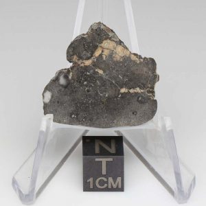 NWA 14729 Lunar Meteorite 2.60g