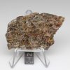 NWA 7831 Meteorite 16.9g