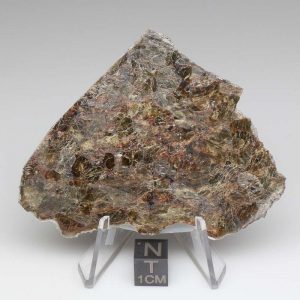 NWA 7831 Meteorite 21.7g