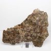 NWA 7831 Meteorite 85.5g