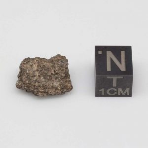 Tisserlitine 001 Lunar Meteorite 1.29g