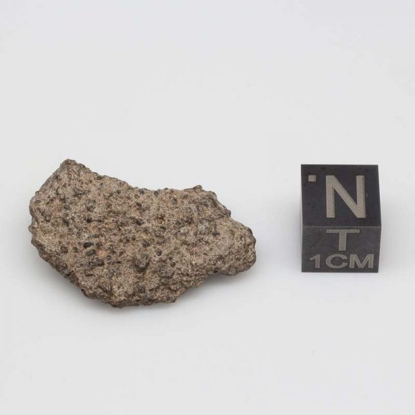 Tisserlitine 001 Lunar Meteorite 4.89g