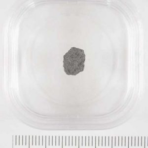 Moss Meteorite .287g