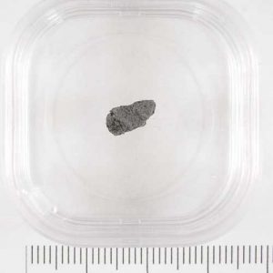 Moss Meteorite .16g